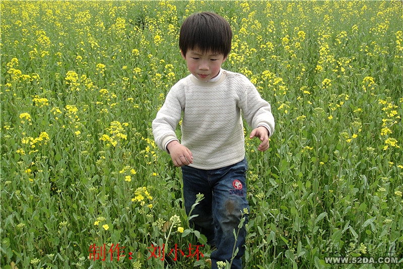 DSC02716_副本.jpg