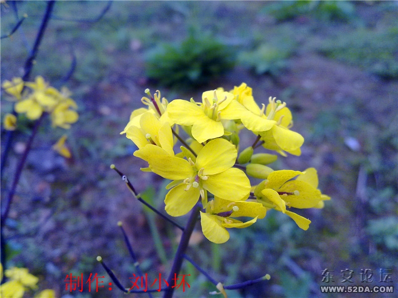 20110313498_副本.jpg 20110313498_副本.jpg