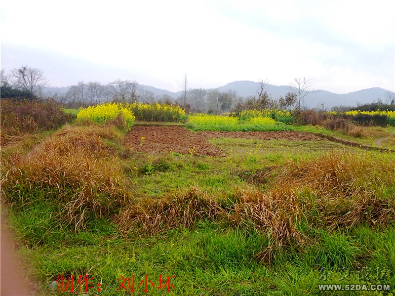 20110313509_副本.jpg 20110313509_副本.jpg