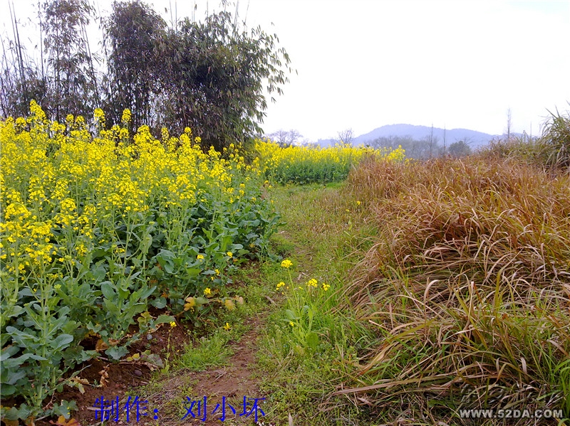 20110313517_副本.jpg