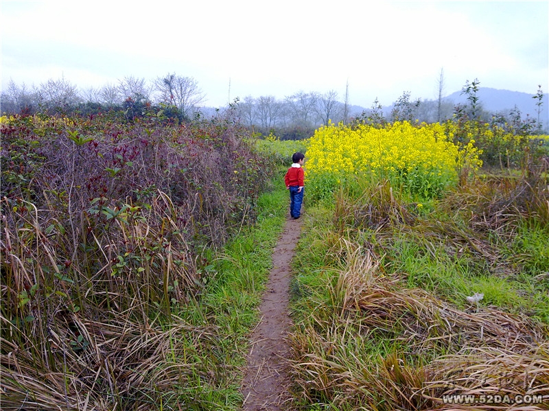 20110313522_副本.jpg 20110313522_副本.jpg