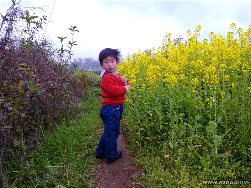 20110313523_副本.jpg 20110313523_副本.jpg