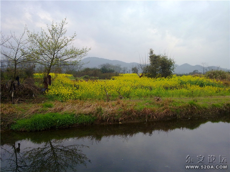 20110313529_副本.jpg 20110313529_副本.jpg