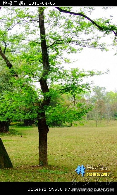 春の氣息——綠