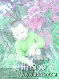 一個出生三歲多的幼兒就這樣在世界上消失了
