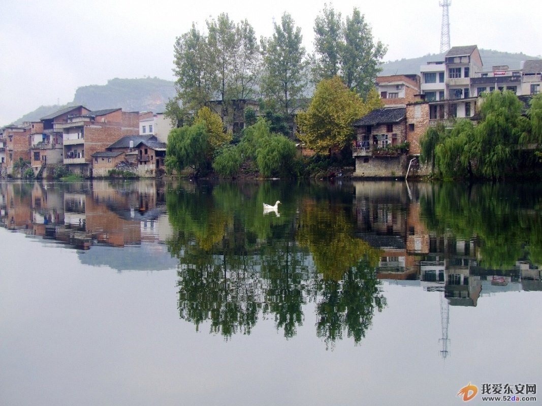 DSCF8784.JPG