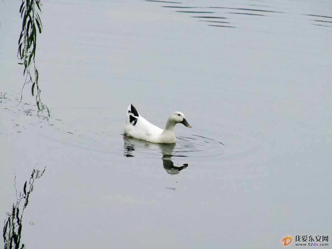 DSCF8812.JPG