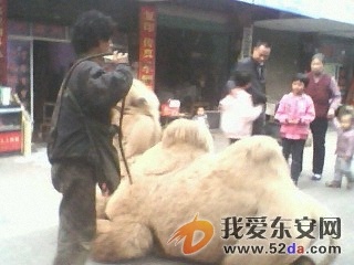 IMG0187A.jpg