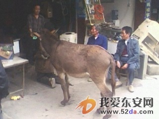 IMG0190A.jpg