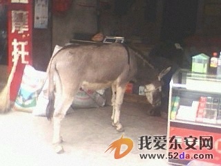 IMG0192A.jpg