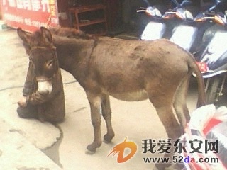 IMG0193A.jpg