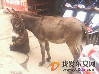 IMG0194A.jpg