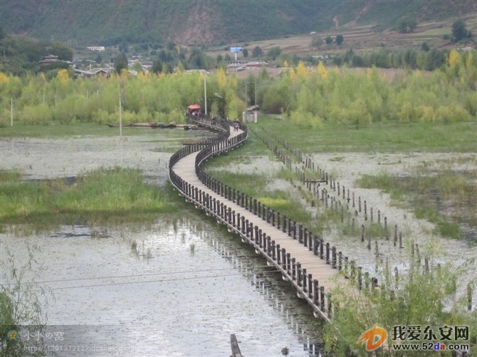 走婚橋.jpg