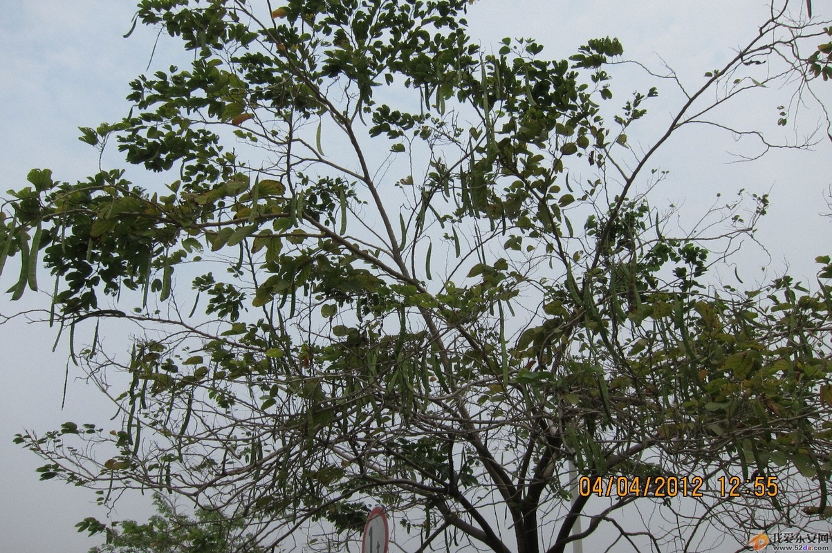 IMG_0844.JPG