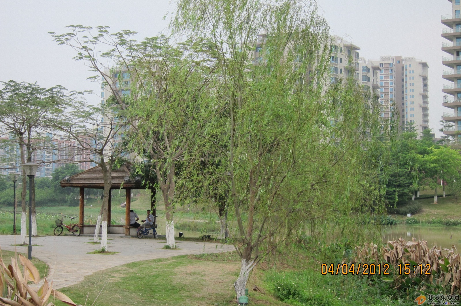IMG_0904.JPG