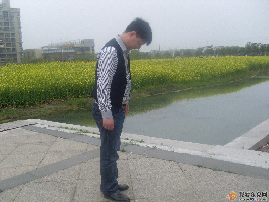 SL375875.JPG