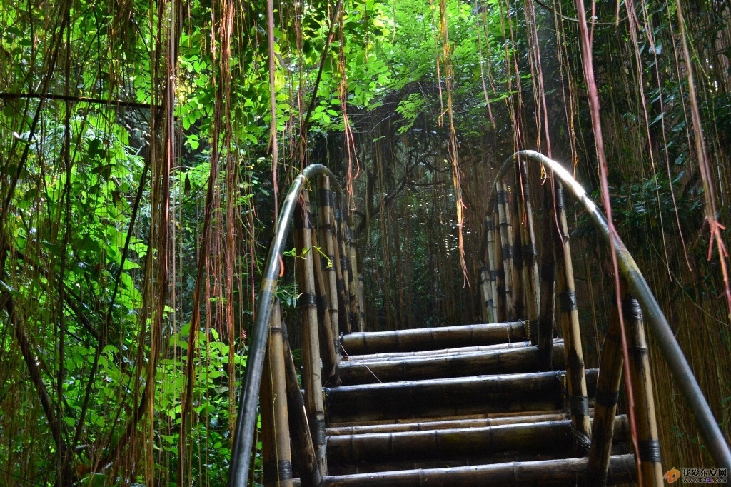 竹橋