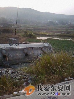 IMG00194.jpg