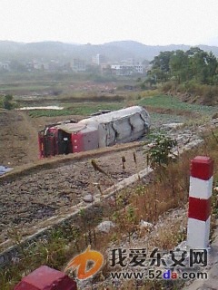 IMG00195.jpg