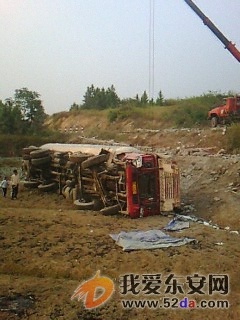 IMG00199.jpg