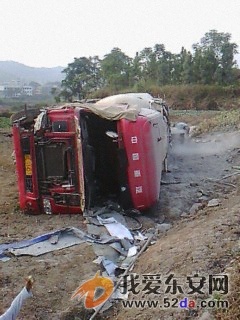 IMG00202.jpg