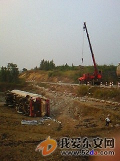 IMG00203.jpg