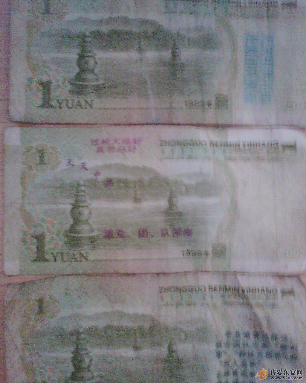 IMG00212.jpg