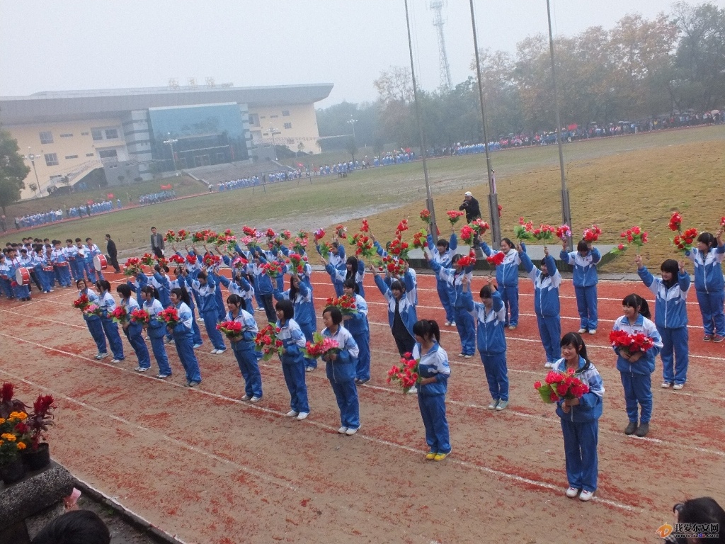 DSCF2219.JPG