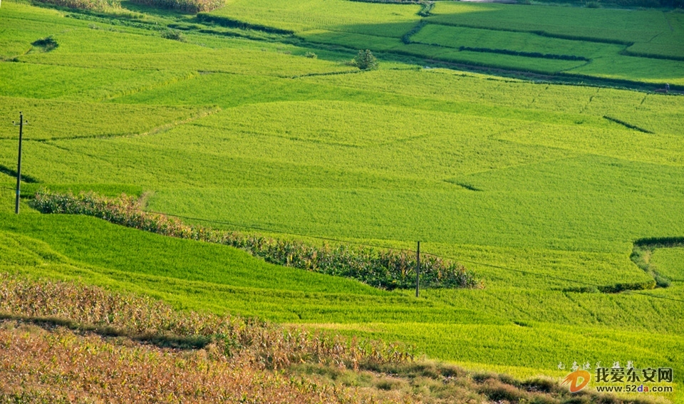 DSC_2165.jpg