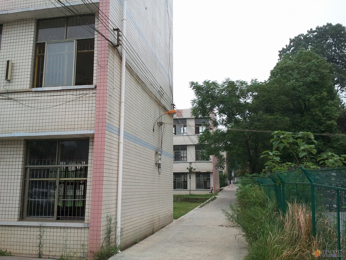一中分校4