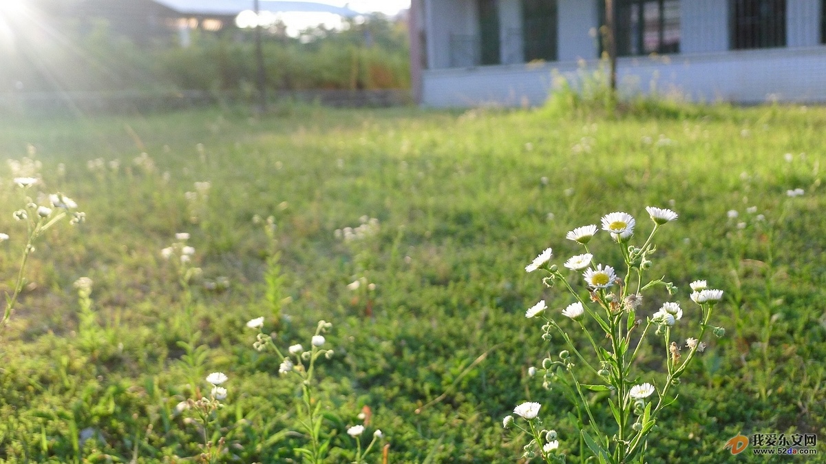 psb3423423.jpg
