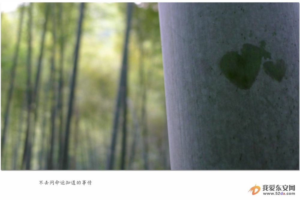 不去問(wèn)命運(yùn)知道的事_1.JPG
