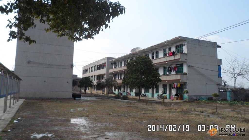 175245tddn46bdp0tp02jj.jpg