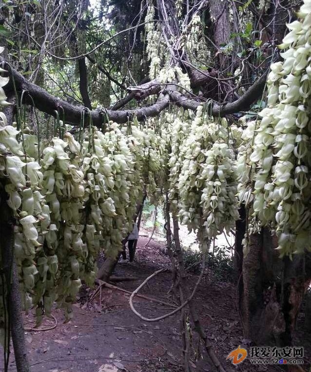 155350lbvbef9zfccqlele_副本.jpg