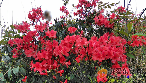 C360_2014-04-28-16-30-43-649.jpg