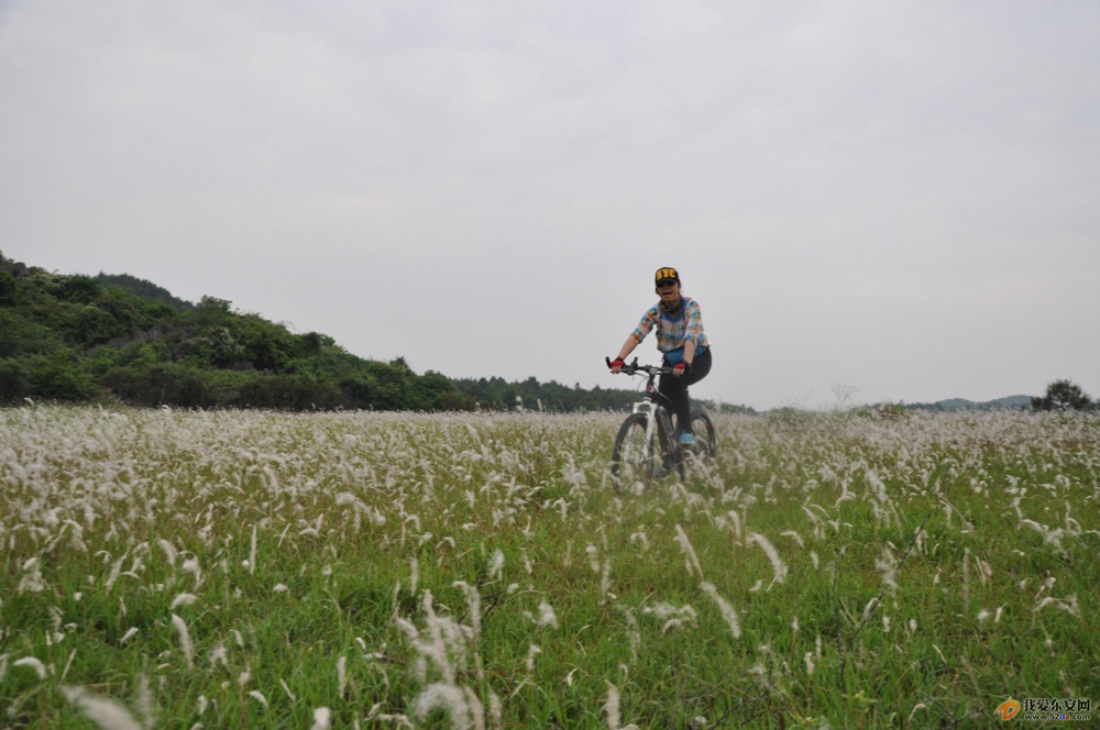DSC_0440.JPG DSC_0440.JPG