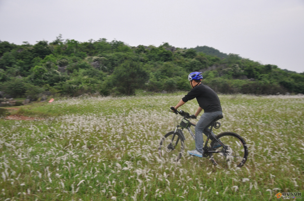 DSC_0447.JPG DSC_0447.JPG
