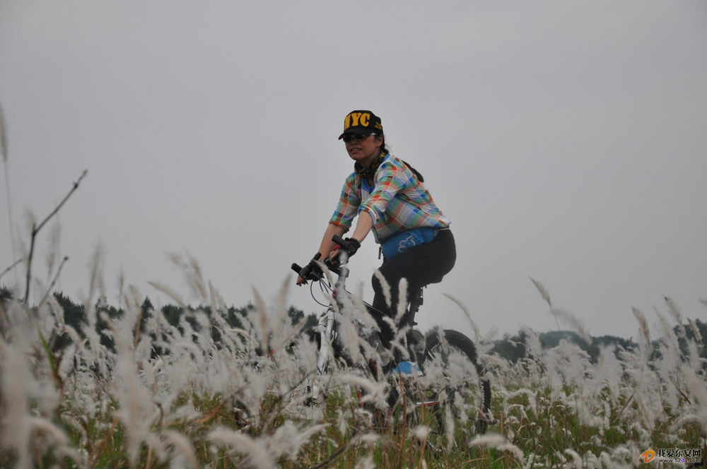 DSC_0464.JPG DSC_0464.JPG
