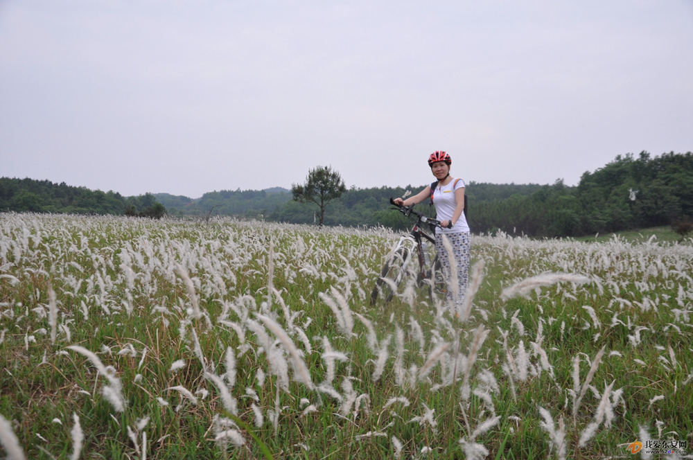 DSC_0467.JPG DSC_0467.JPG