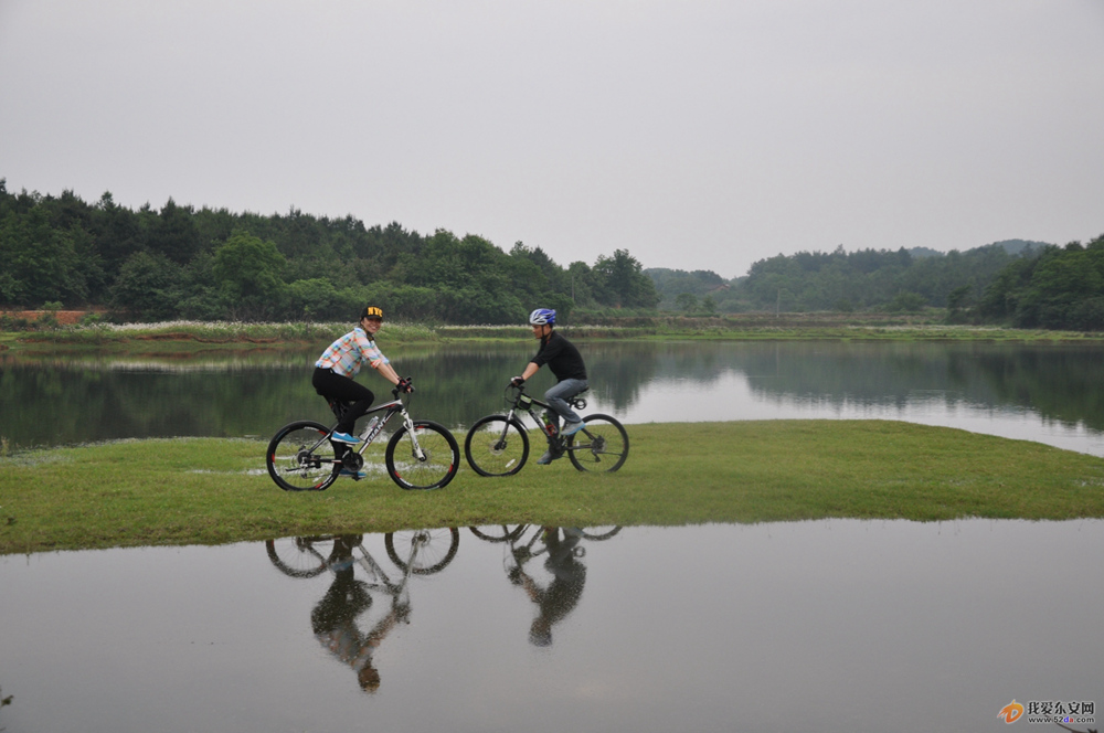 DSC_0494.JPG DSC_0494.JPG