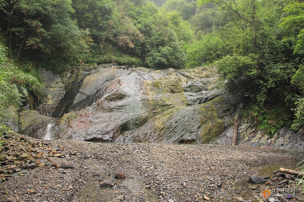 IMG_0694_調(diào)整大小.JPG