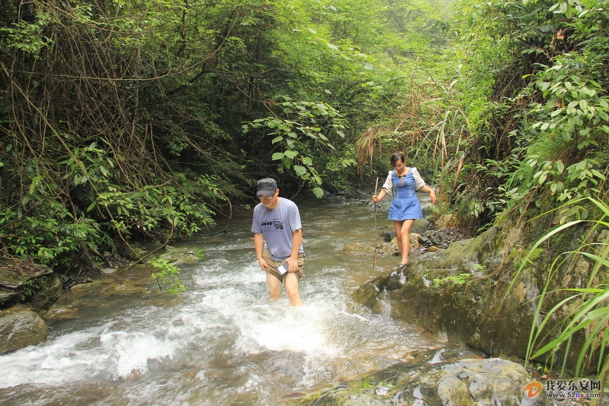 IMG_0787_調(diào)整大小.JPG