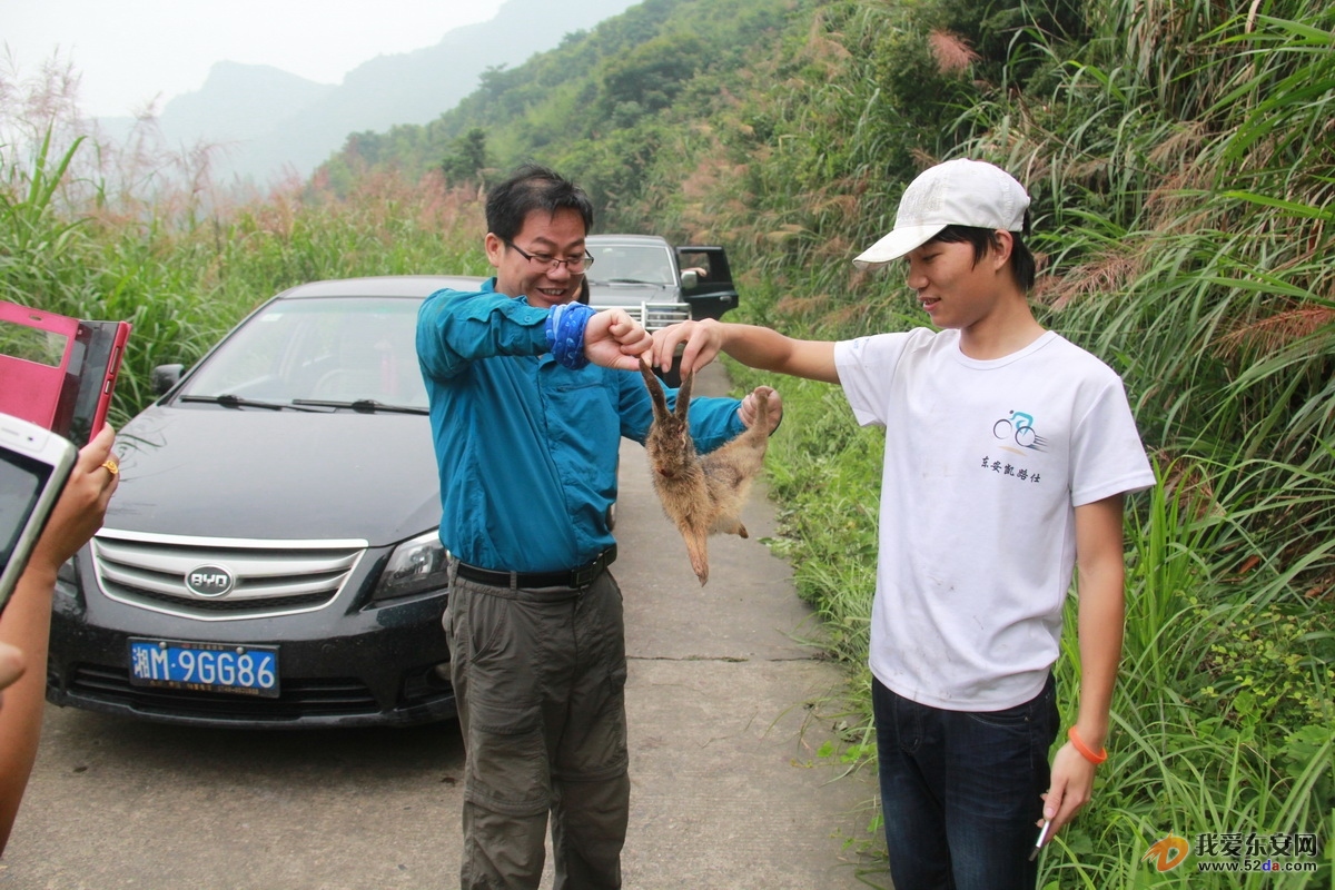 歸途中的意外收獲，車撞到一只野兔