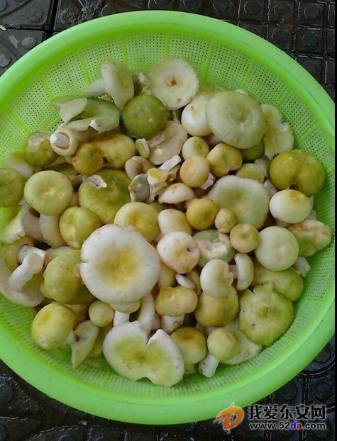 QQ圖片20140921153745.jpg