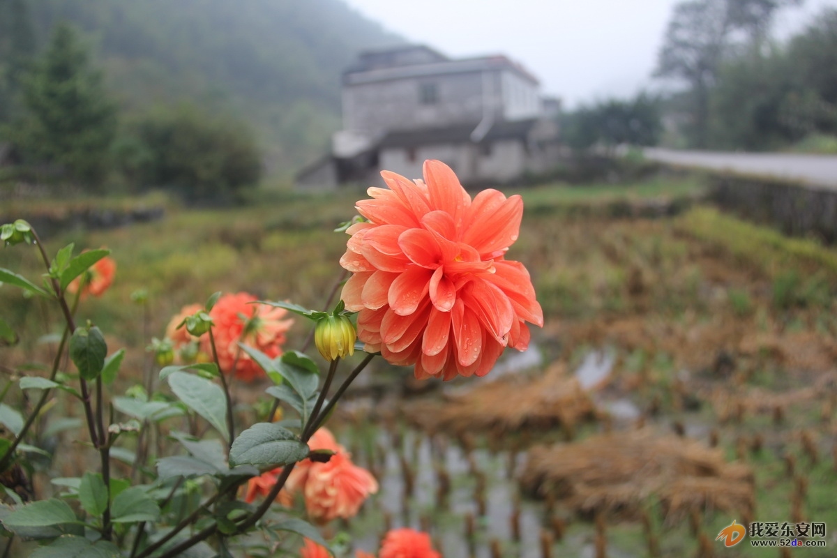 IMG_2255_調(diào)整大小.JPG