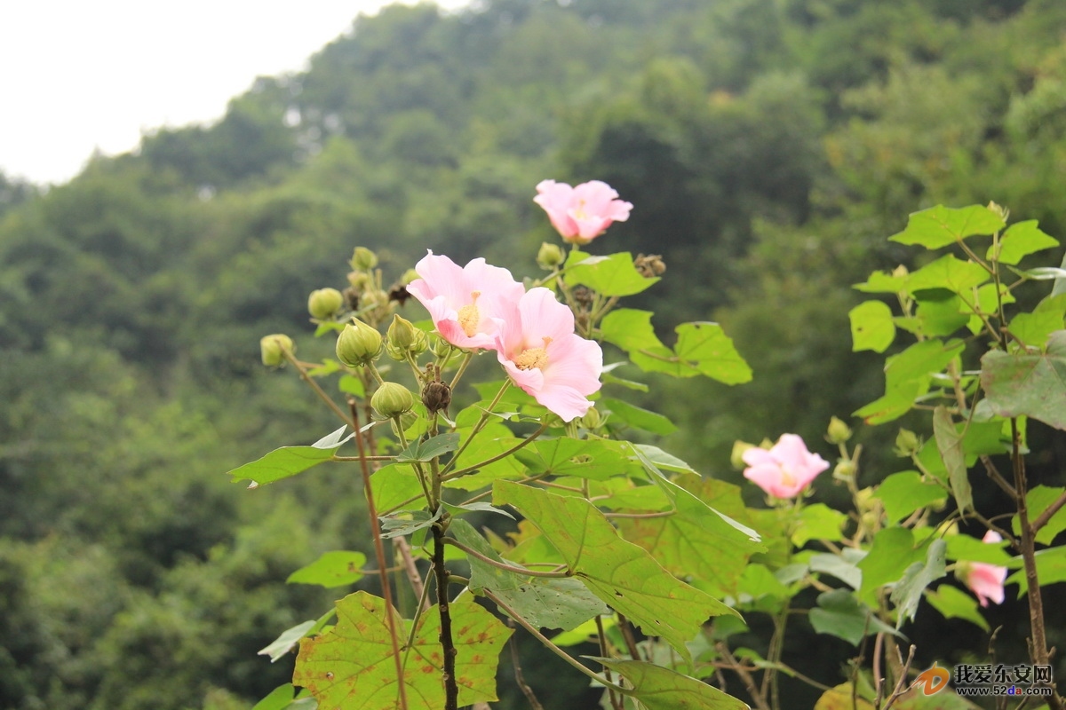 IMG_2419_調(diào)整大小.JPG