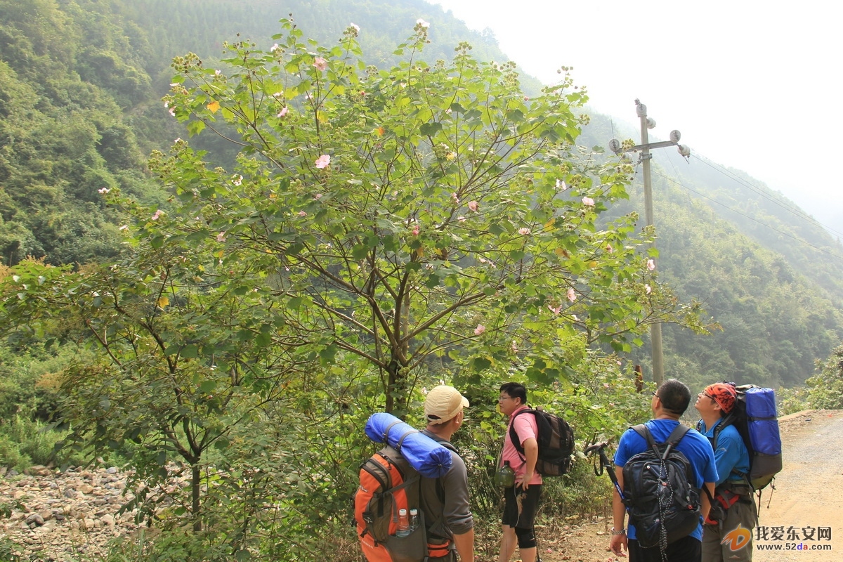 IMG_2468_調(diào)整大小.JPG