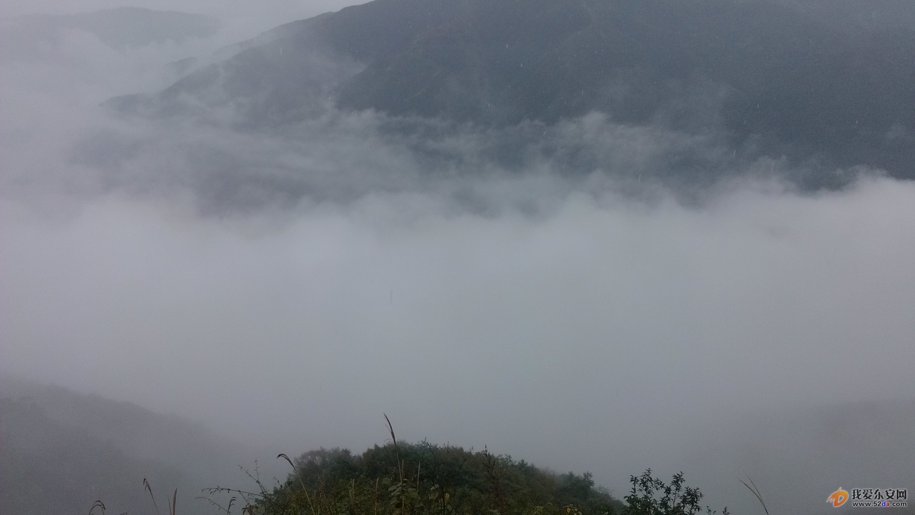 IMG_20141002_102739.jpg