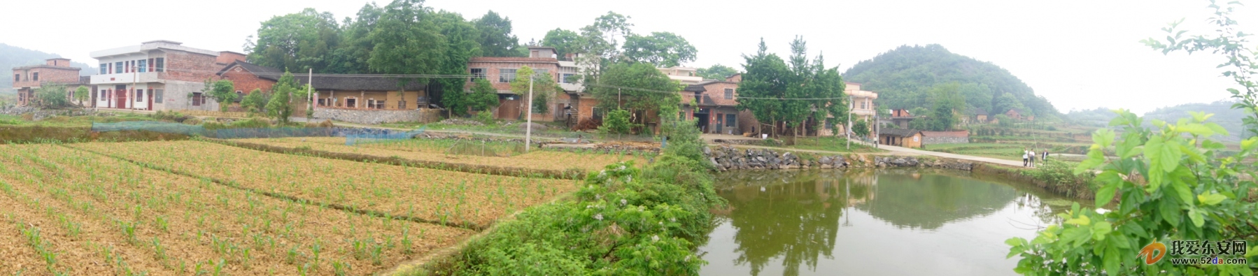 田心村 田心村