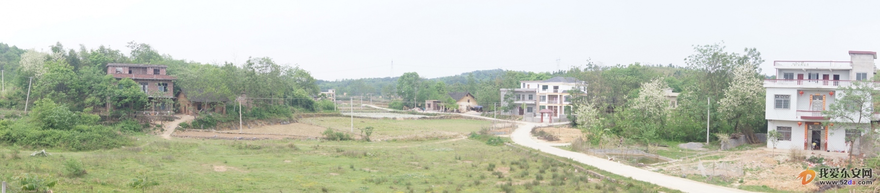 同樂村 同樂村